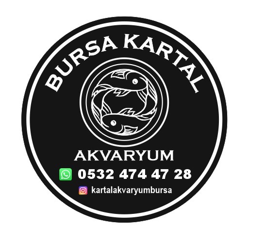 Kartal Akvaryum & Petshop